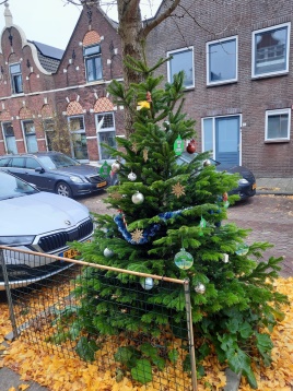 221213 Ruytenburcht t Hof Kerstboom